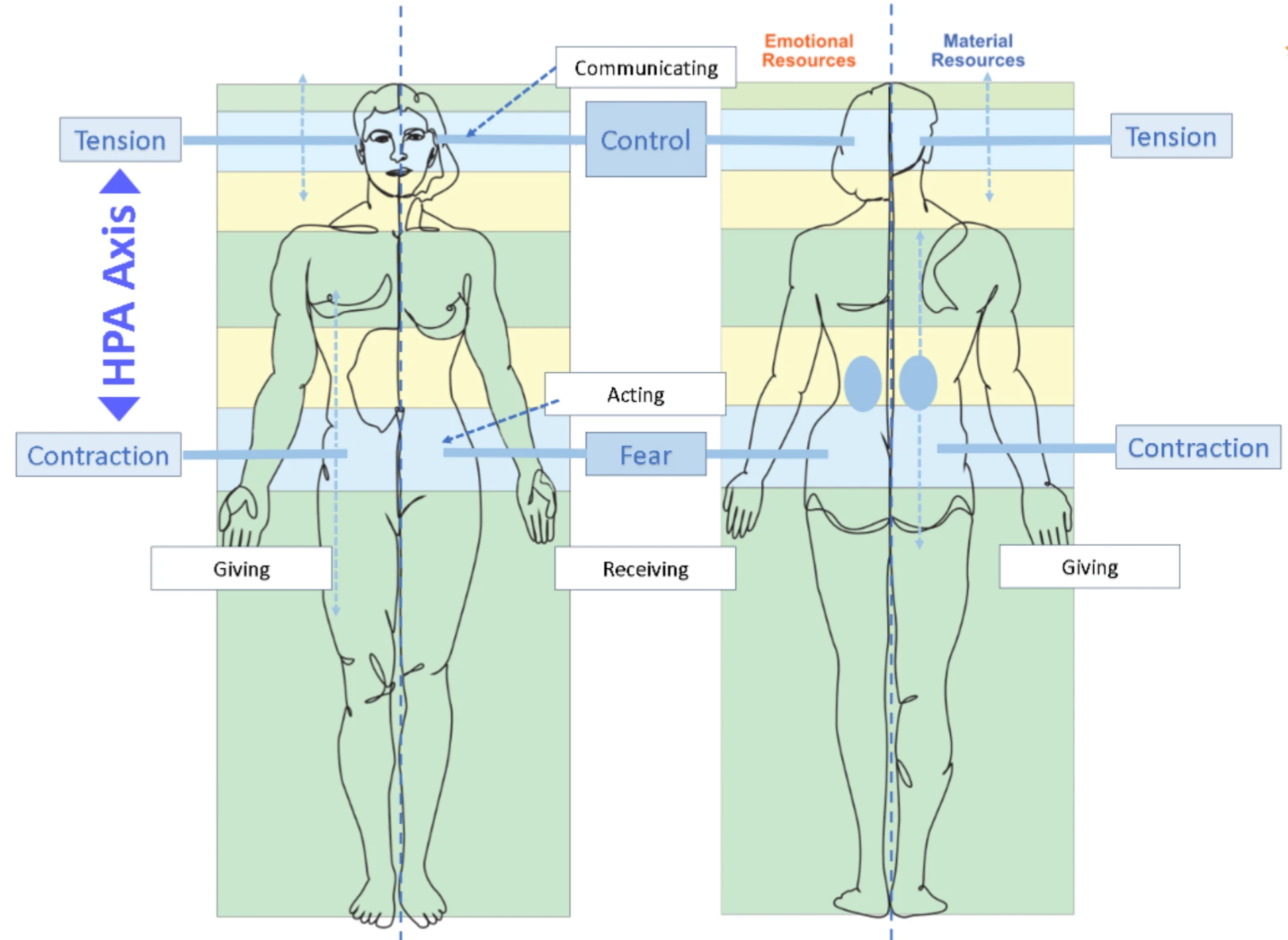 The Body Matrix diagram: front and back silhouettes mapping sensations to inner resources, with emotional and material resource labels