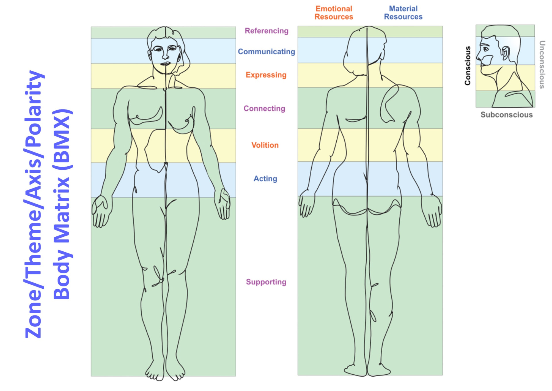Body Matrix (BMX) diagram: zones, themes, axes and polarities mapped on the human body